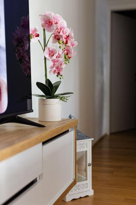 Apartman Lux Self Check-In 维罗维蒂察 外观 照片